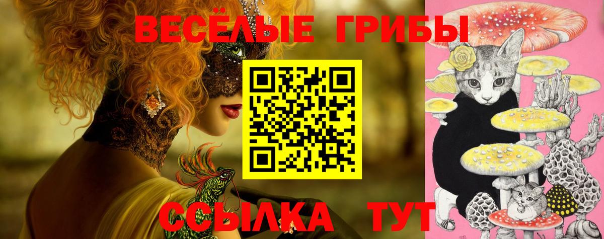 Псилоцибиновые грибы ЛСД  Вход с VPN  Кулебаки  Псилоцибиновые грибы ЛСД 